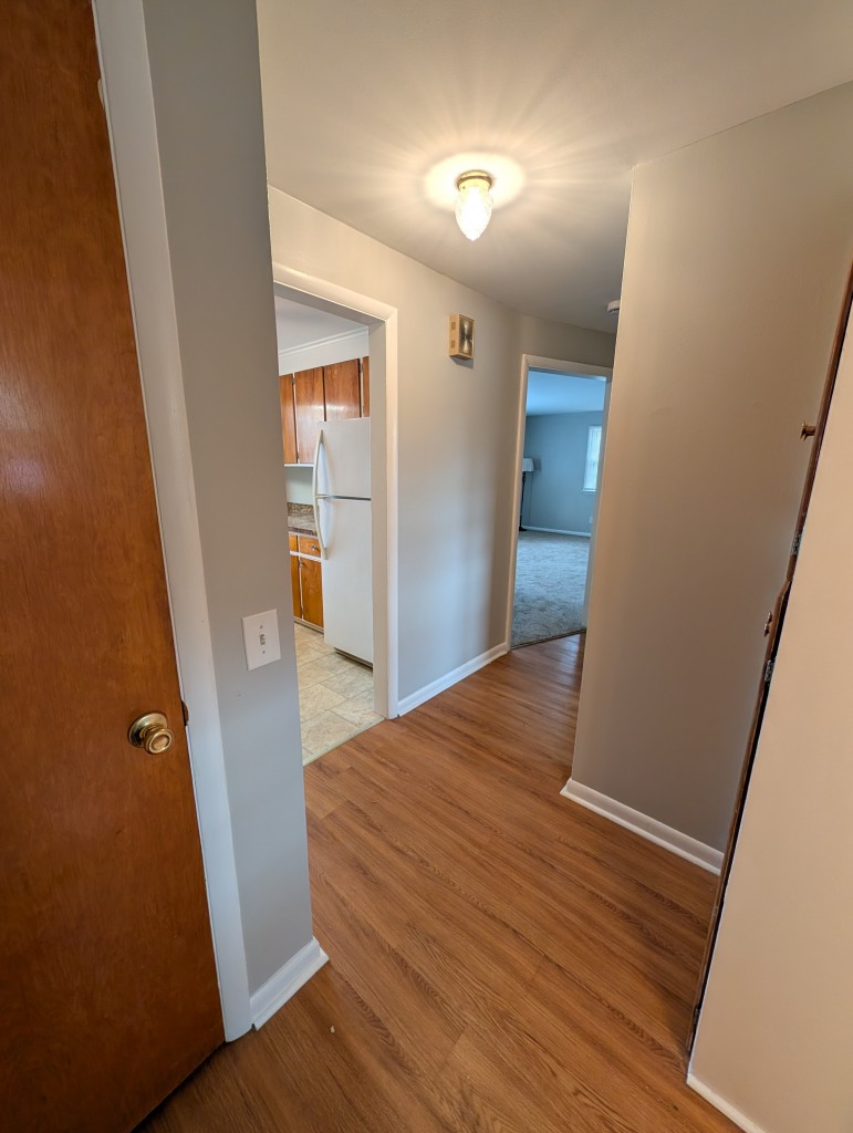 PXL_20251101_172726110